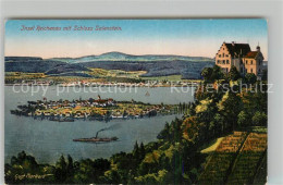 13284152 Salenstein TG Schloss Insel Reichenau Kuenstlerkarte Salenstein TG - Altri & Non Classificati