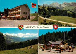 13281918 Jaunpass Hotel Des Alpes Panorama Simmental Gastlosen Sportbazar Jaunpa - Andere & Zonder Classificatie