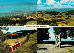 13264728 Rorschach Bodensee Blick Auf Bodensee Lindau Heiden Dunant Denkmal Berg - Other & Unclassified