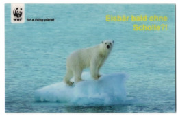 3D-AK Eisbär Bald Ohne Scholle?!, WWF  - Fotografie