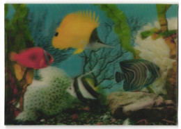 3D-AK Bunte Fische Im Aquarium  - Fotografie