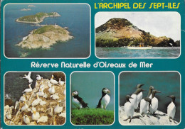 PERROS  GUIREC COTE DU NORD, LES OISEAUX DE L ARCHIPEL DES SEPTS ILES, FLAMME ILLUSTREE OISEAU DE LA VILLE 1987 - Perros-Guirec