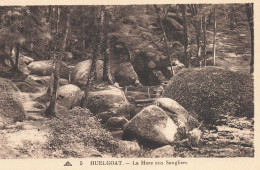 29  HUELGOAT LA MARE AUX SANGLIERS - Huelgoat