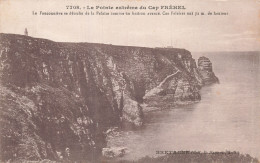 22  LE CAP FREHEL LA FAUCONNIERE - Cap Frehel