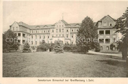 73818818 Greiffenberg Lwowek Slaski Schlesien PL Sanatorium Birkenhof  - Pologne