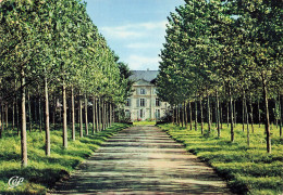 14 THIBERMONT LE CHÂTEAU MAISON SAINTE MARIE L AVENUE - Sonstige & Ohne Zuordnung