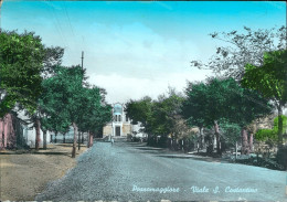 G733 Cartolina Pozzomaggiore Viale S.costantino Provincia Di Sassari Sardegna - Sassari