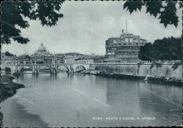 G752 Cartolina Roma Citta' Ponte E Castel S.angelo Lazio - Sonstige & Ohne Zuordnung