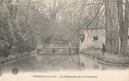 21 VONGES LA PASSERELLE DE LA POUDRERIE - Autres & Non Classés