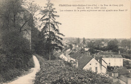 21 CHATILLON SUR SEINE LA TOUR DE GISSEY - Chatillon Sur Seine