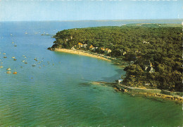 85 L ILE DE NOIRMOUTIER LES SOUZEAUX ET LE BOIS DE LA CHAIZE - Ile De Noirmoutier