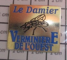 3417 Pin's Pins / Beau Et Rare / ANIMAUX / MOUCHE LE DAMIER VERMINIERE DE L'OUEST - Animals