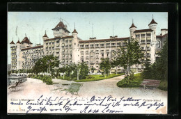 AK Caux S/Montreux, Palace-Hotel Mit Anlagen  - Montreux