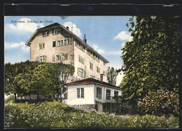 AK Wetzikon, Schloss Mit Linde  - Other & Unclassified