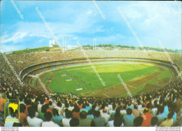 Bo612 Cartolina Parma Citta' Stadio Stadium Brasil - Pesaro