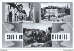 At409 Cartolina Saluti Da Urbania Provincia Di Pesaro - Pesaro