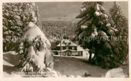 73817548 Riesengebirge_Krkonose_Karkonosze Adolfbaude Panorama - Tchéquie