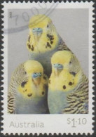 AUSTRALIA - USED 2022 $1.10 Budgerigars - "The Tweets" - Golden-Face Blues - Used Stamps