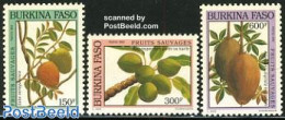Burkina Faso 1993 Wild Fruits 3v, Mint NH, Nature - Fruit - Obst & Früchte