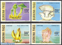 Burkina Faso 1996 Mushrooms 4v, Mint NH, Nature - Mushrooms - Mushrooms