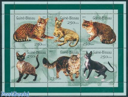 Guinea Bissau 2001 Cats 6v M/s, Mint NH, Nature - Cats - Guinea-Bissau