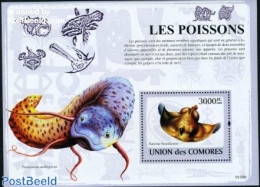 Comoros 2009 Fish S/s, Mint NH, Nature - Fish - Fishes