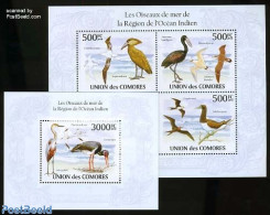 Comoros 2010 Birds In The Indian Ocean Region 2 S/s, Mint NH, Nature - Birds - Comoren (1975-...)