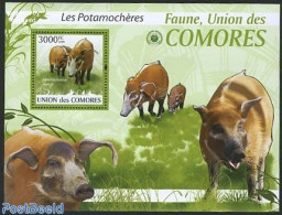 Comoros 2009 Wild Pigs S/s, Mint NH, Nature - Animals (others & Mixed) - Comoros