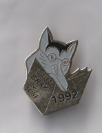 PIN'S THEME VILLE DE BRAY SUR SEINE    LES ECOLES 1992  SEINE ET MARNE - Ciudades