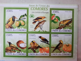 Comoros 2009 European Orioles 5v M/s, Mint NH, Nature - Birds - Komoren (1975-...)