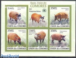 Comoros 2009 Red River Hog 5v M/s, Mint NH, Nature - Animals (others & Mixed) - Comoren (1975-...)