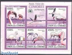 Comoros 2009 Flamingoes 5v M/s, Mint NH, Nature - Birds - Komoren (1975-...)