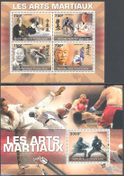 Togo 2010 Martial Arts 2 S/s, Mint NH, Sport - Sport (other And Mixed) - Togo (1960-...)
