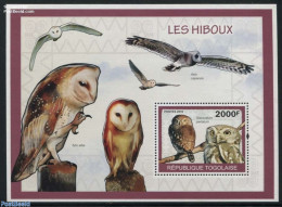 Togo 2010 Owls S/s, Mint NH, Nature - Birds - Birds Of Prey - Owls - Togo (1960-...)