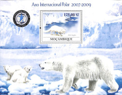 Mozambique 2009 Int. Polar Year S/s, Mint NH, Nature - Science - Animals (others & Mixed) - Bears - The Arctic & Antar.. - Mozambique