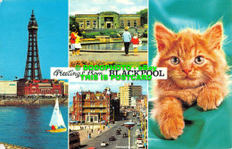 R525536 Greetings From Blackpool. Color Gloss View Series. Bamforth. Multi View - World