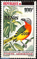 Benin 2008 Malaconotus Cruentus, Overprint, Mint NH, Nature - Birds - Trees & Forests - Ongebruikt