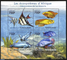 Togo 2011 Ecosystem, Lake Victoria 4v M/s, Mint NH, Nature - Fish - Peces