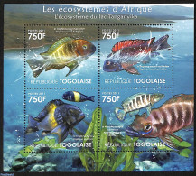 Togo 2011 Ecosystem, Lake Tanganyika  4v M/s, Mint NH, Nature - Fish - Peces