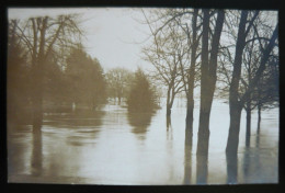 25 - BESANCON - La Promenade Chamars  - Inondations De 1910 (CARTE-PHOTO) - Besancon