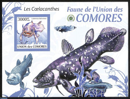 Comoros 2009 Coelacanth S/s Imperf., Mint NH, Nature - Fish - Vissen