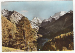 Ristolas (Htes-Alpes) - L'Automne Au Mont Viso - (France) - Guillestre