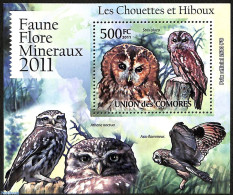 Comoros 2011 Owls, Mint NH, Nature - Birds - Birds Of Prey - Owls - Comores (1975-...)