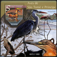 Sao Tome/Principe 2015 Birds, Mint NH, Nature - Birds - Sao Tome Et Principe