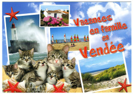 Vacances En Famille En Vendée - Chats - Autres & Non Classés