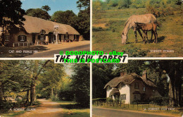 R525245 The New Forest. A Forest Cottage. A Forest Glade. J. Salmon. Cameracolou - World