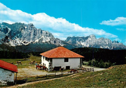 73793605 Sesto Sexten Suedtirol IT Rifugio Alpe Di Nemes Gruppo Tre Scarperi Gru - Autres & Non Classés