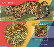Mozambique 2022 Big Cats, Mint NH, Nature - Cat Family - Mozambico