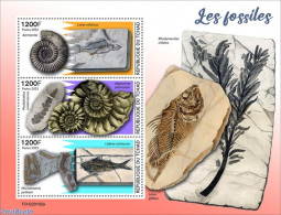 Chad 2022 Fossils, Mint NH, Nature - Prehistoric Animals - Prehistory - Otros & Sin Clasificación
