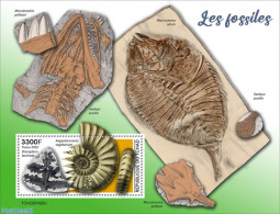 Chad 2022 Fossils, Mint NH, Nature - Prehistoric Animals - Prehistory - Altri & Non Classificati